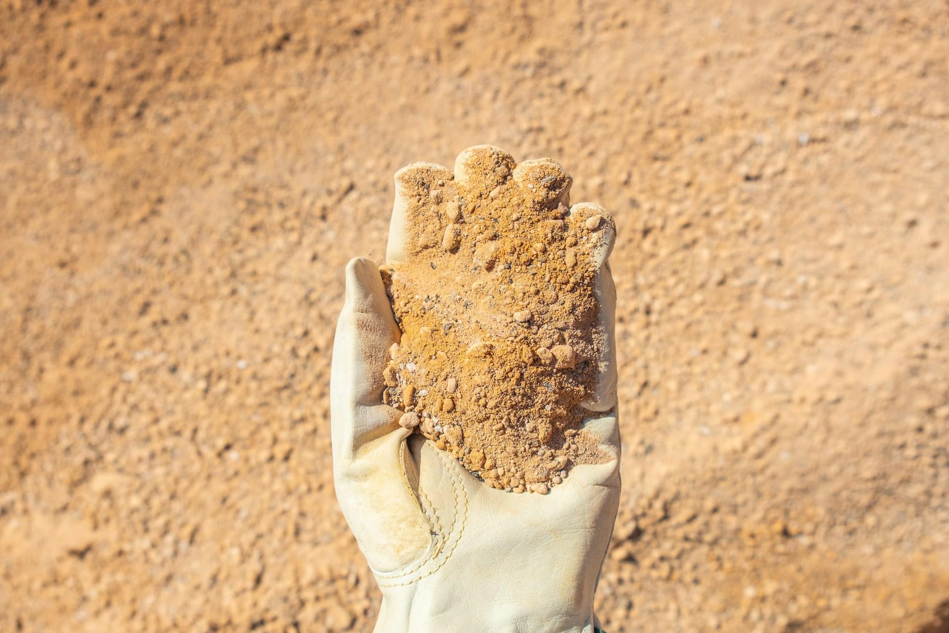 featured article image